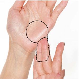 目元分なので、広げすぎると、厚みをもって塗れなくなってしまい、摩擦を起こす恐れがあるので注意。