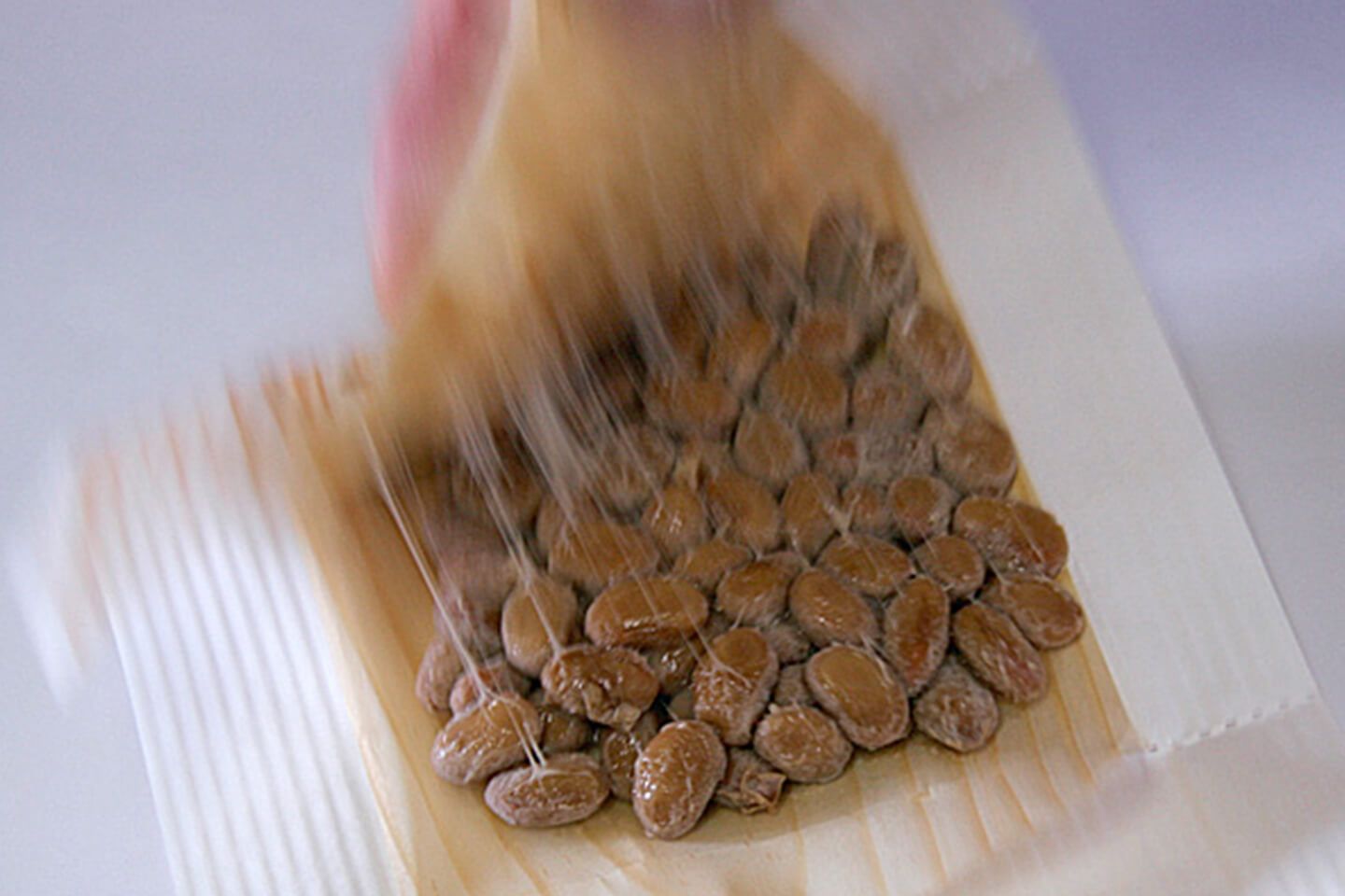 木の皮に包まれた納豆