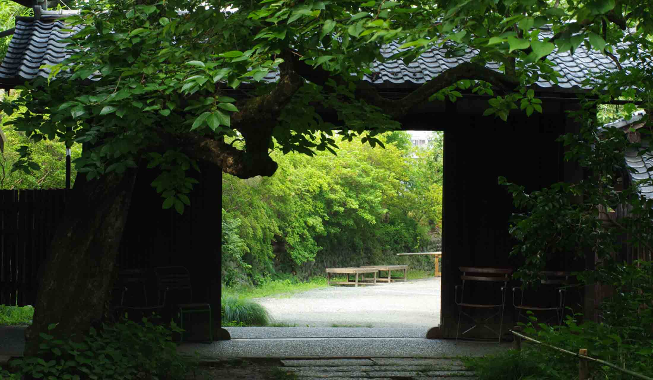 武相荘の正門(夏)。