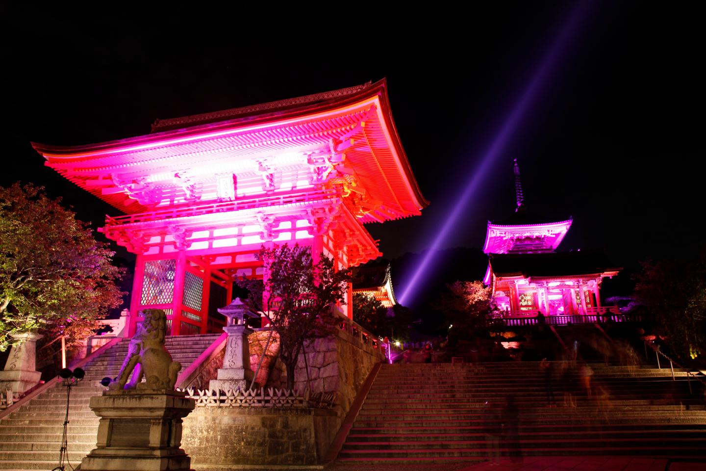 美しいピンク色にライトアップされた、清水寺(仁王門、西門、三重塔、観音慈光)。
