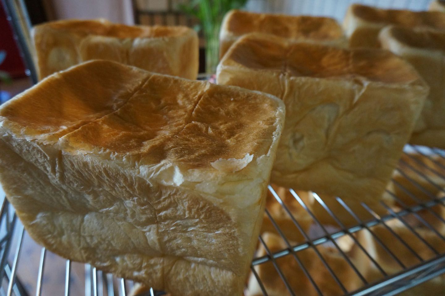bakery点心の食パン1本(2斤)¥670