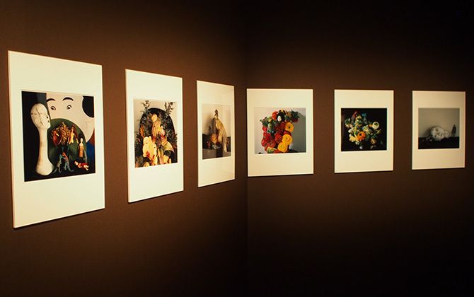 シャネル・ネクサス・ホール「荒木経惟×ギメ東洋美術館 Tombeau Tokyo」の展示