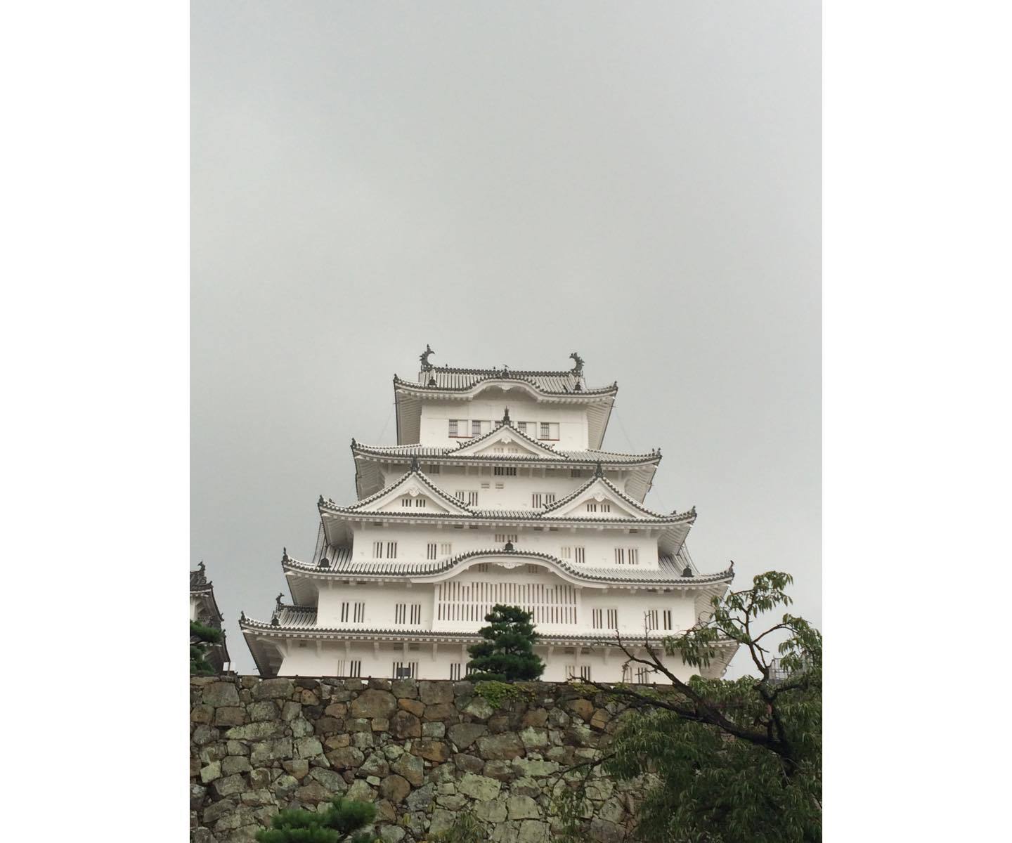 備前丸から撮った天守閣。ここがベストポジション