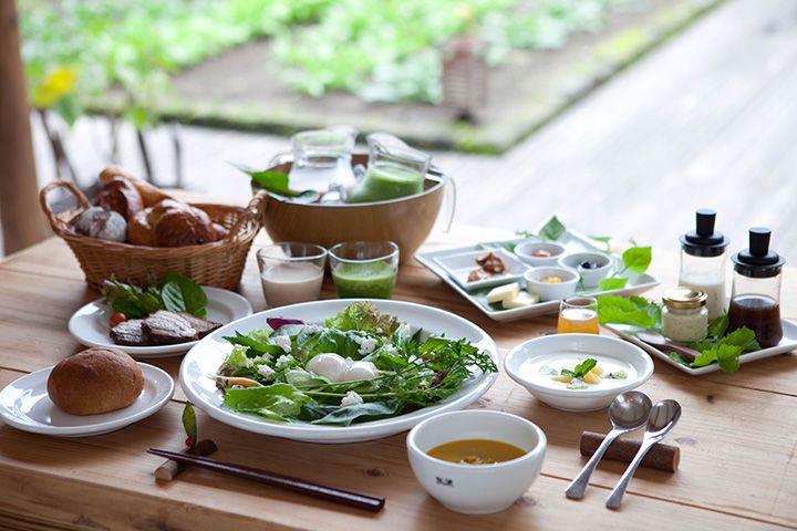 ピクニックランチ(※季節によってメニューが異なる)