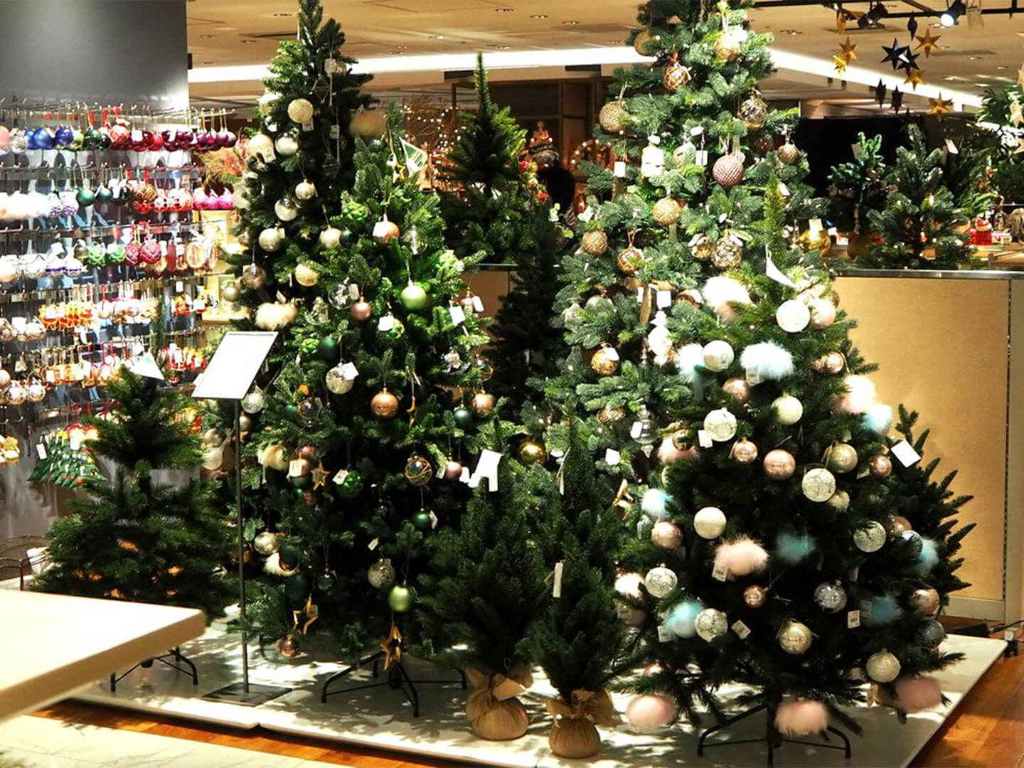 さまざまなサイズのクリスマスツリー