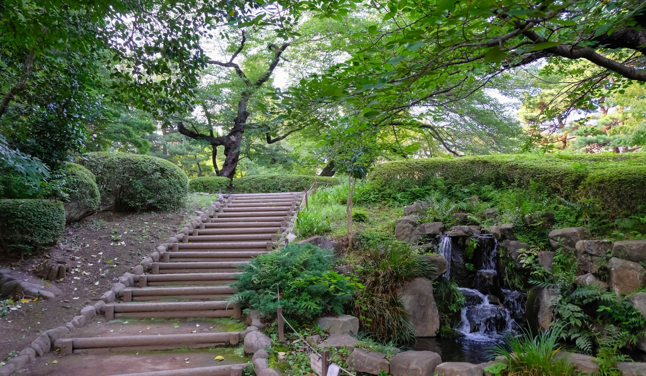ハンムラビ王の像のある中野区立哲学同公園は、いま、緑がとても気持ちのいい季節です。