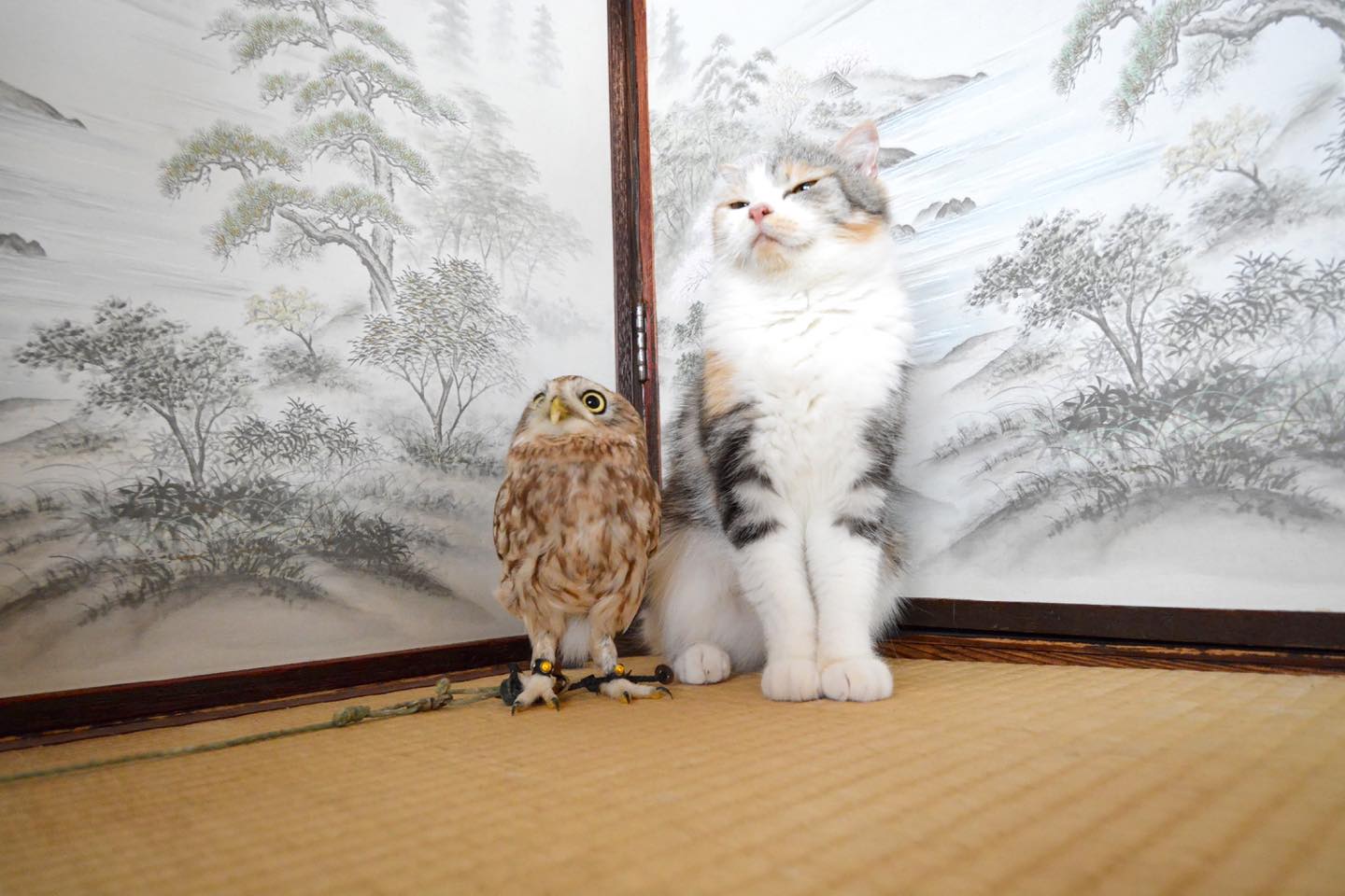 同じ方向を見てみたり