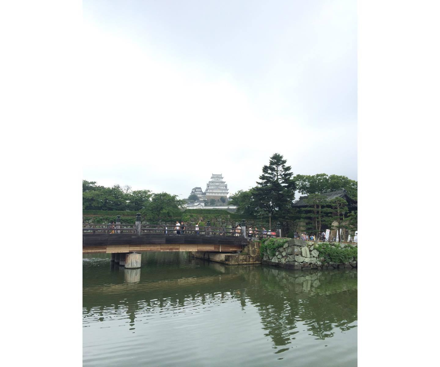 城郭一帯は水を湛えた内堀で周囲を囲まれていて、水面の揺らめきを観ているだけでも癒されます