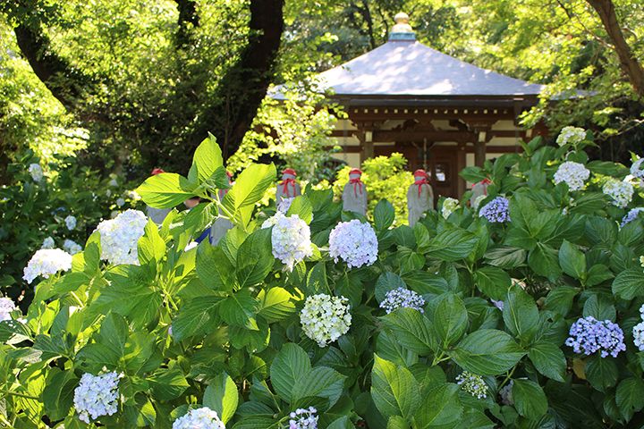 「妙楽寺」(神奈川県川崎市)