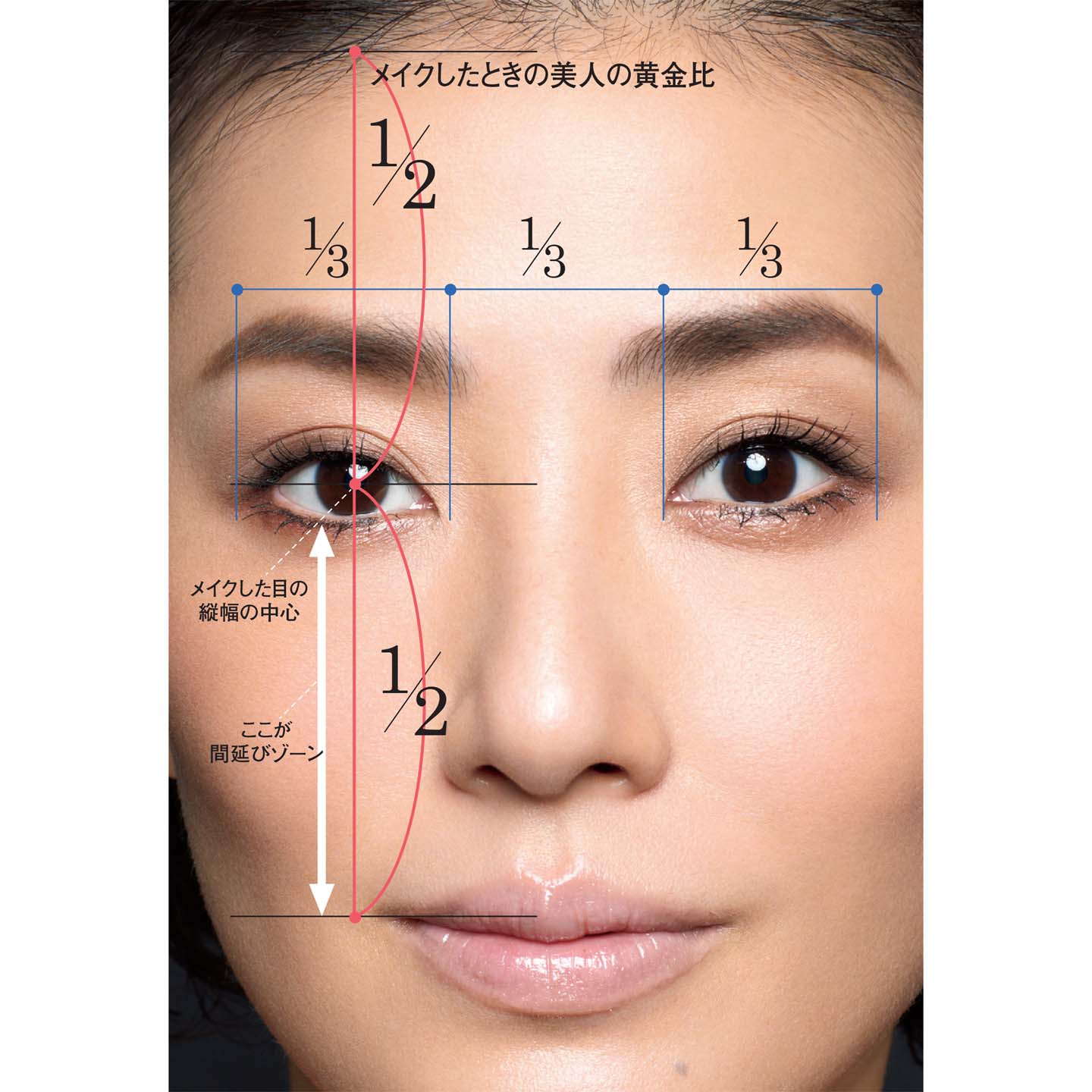縦のバランスは、生え際から目の真ん中(瞳の中央)までの長さと、目の真ん中(瞳の中央)から口角までの長さが同じであること。横のバランスは、目の横幅と右の目頭と左の目頭との距離が同じであること。
