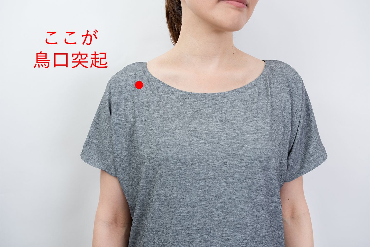 烏口突起の位置を示している