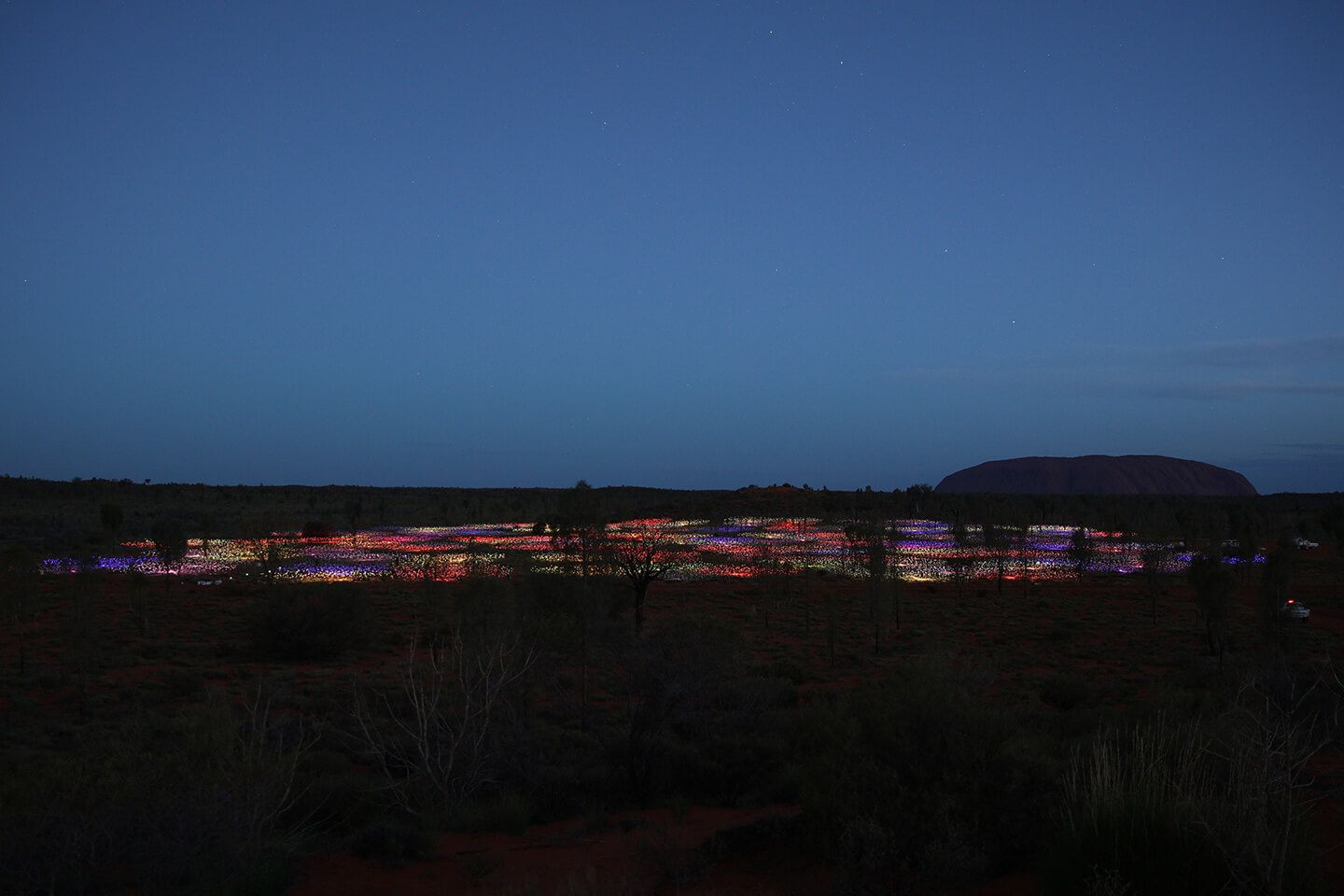 暗くなると、さらに際立つ光のインスタレーション。©Bruce Munro - Photo by Mark Pickthall