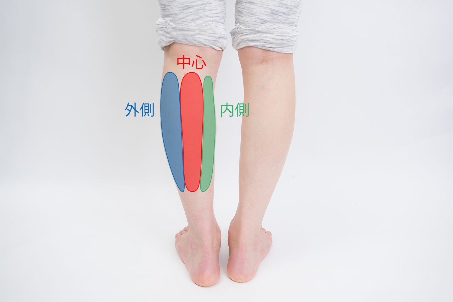 ふくらはぎの裏側の中心、内側、外側のマッサージする位置を示している