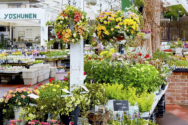園内には季節の草花の苗や鉢植えがずらりと並んでいます