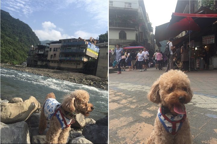 愛犬と一緒にドライブがてら、フラッと立ち寄れるのもいいところ。