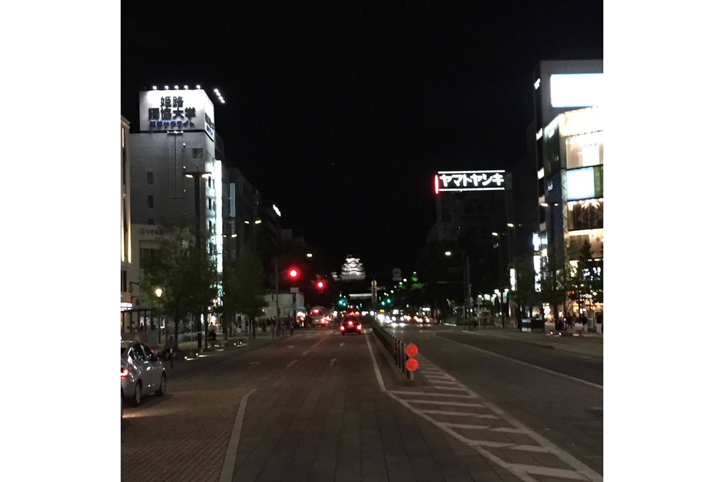 夜になるとライトアップされる