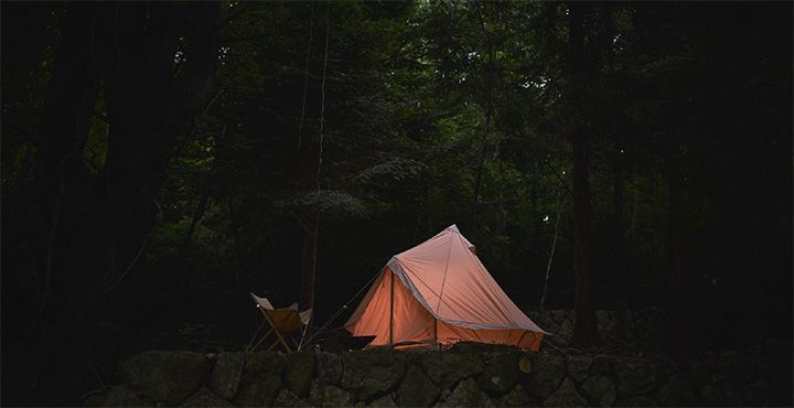 まさに「大人のあそび」の時間が流れる