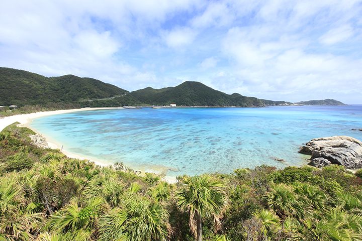 真っ白な砂浜が約800m続く「阿波連ビーチ」