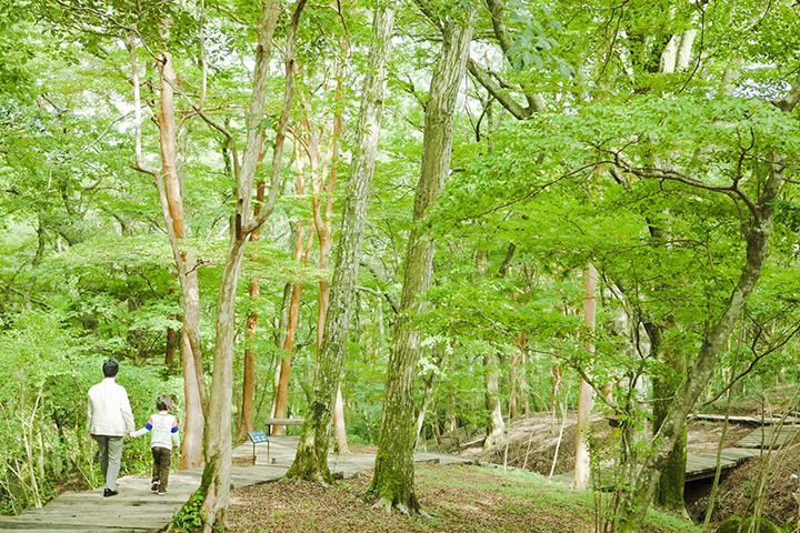 鳥たちのさえずりが響く670メートルの遊歩道でゆったりと深呼吸